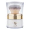 پودر تثبیت کننده آرایش سالوته پرو مدل S-01
